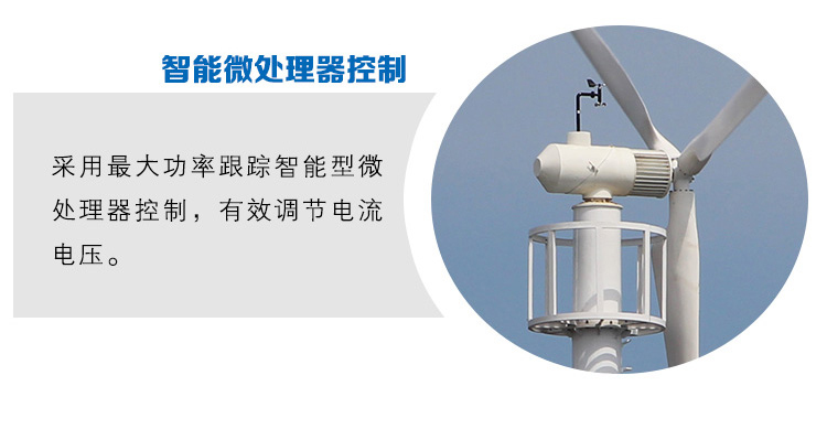 D型风力发电机(图2)